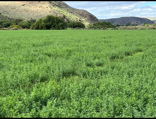 338HA FARM FOR SALE IN LADISMITH RURAL